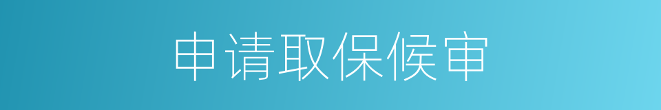 申请取保候审的同义词