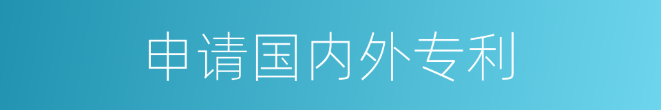 申请国内外专利的同义词
