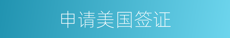 申请美国签证的同义词