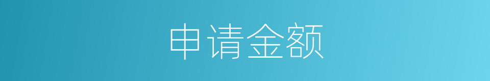 申请金额的同义词