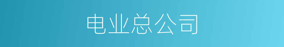 电业总公司的同义词