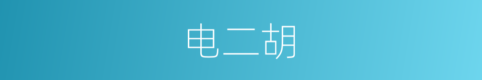 电二胡的同义词