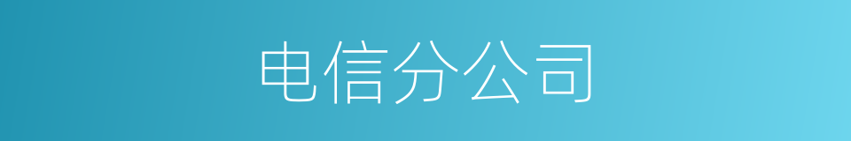 电信分公司的同义词