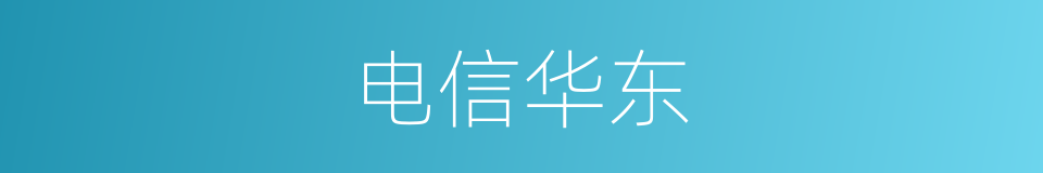 电信华东的同义词