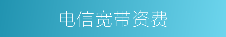 电信宽带资费的同义词