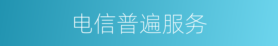 电信普遍服务的同义词