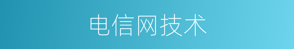 电信网技术的同义词