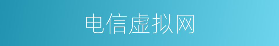 电信虚拟网的同义词
