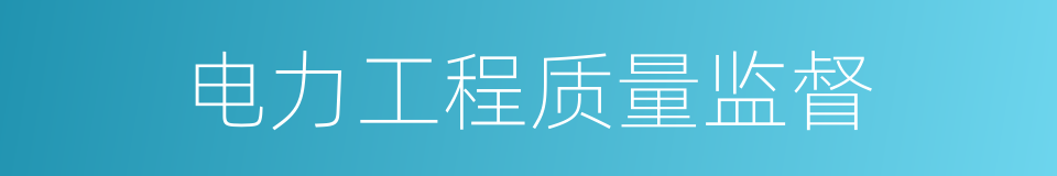 电力工程质量监督的同义词