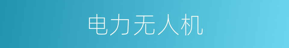 电力无人机的同义词