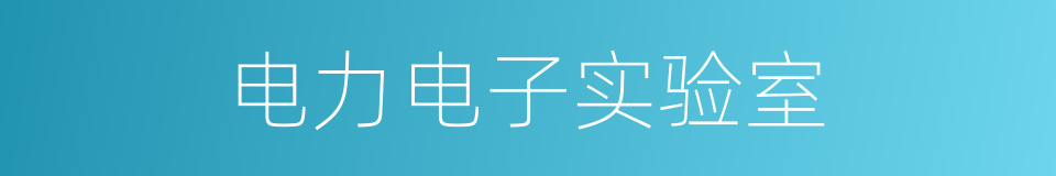 电力电子实验室的同义词