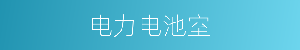 电力电池室的同义词