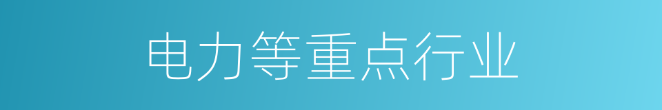 电力等重点行业的同义词