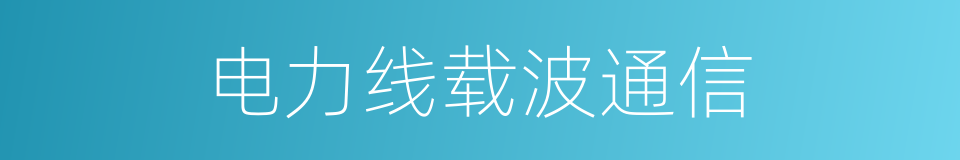 电力线载波通信的同义词