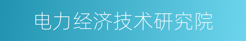 电力经济技术研究院的同义词