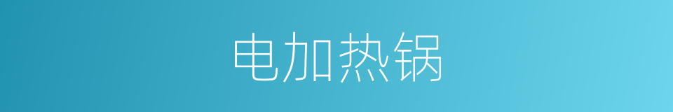 电加热锅的同义词