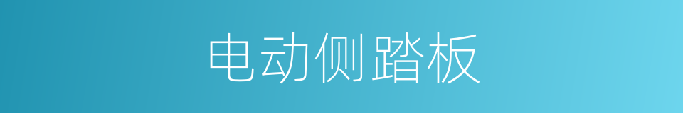 电动侧踏板的同义词