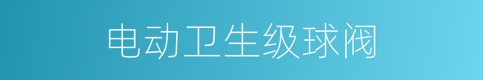 电动卫生级球阀的同义词