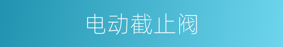 电动截止阀的同义词