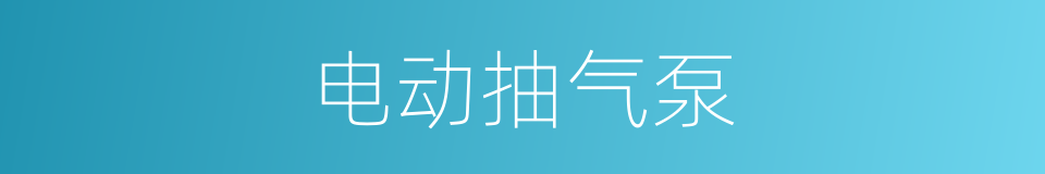 电动抽气泵的同义词