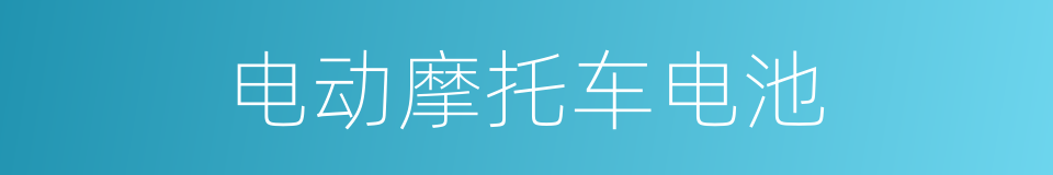 电动摩托车电池的同义词