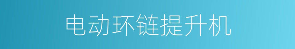 电动环链提升机的同义词