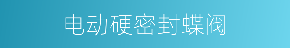 电动硬密封蝶阀的同义词