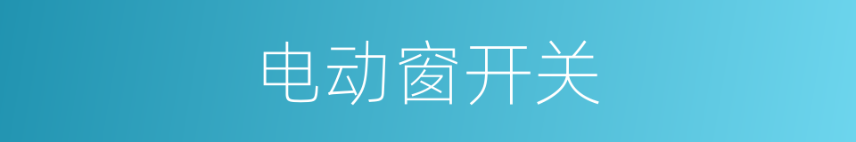 电动窗开关的同义词