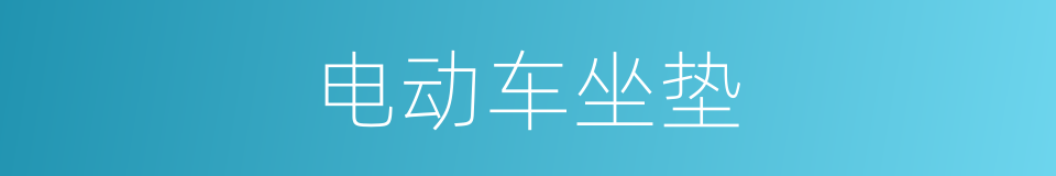 电动车坐垫的同义词