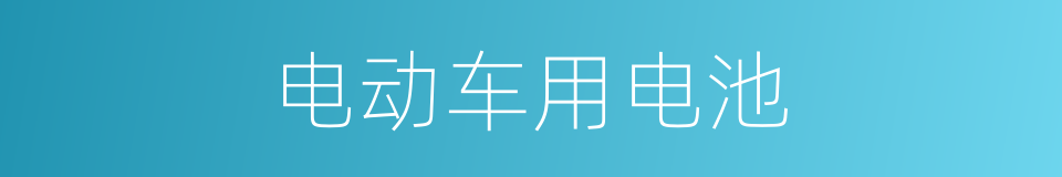 电动车用电池的同义词