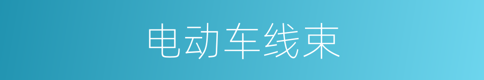 电动车线束的同义词