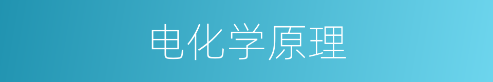 电化学原理的同义词