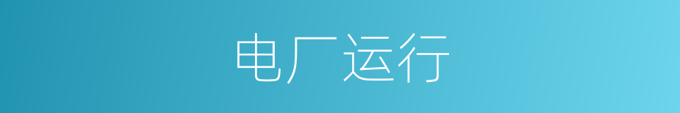 电厂运行的同义词