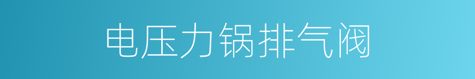 电压力锅排气阀的同义词