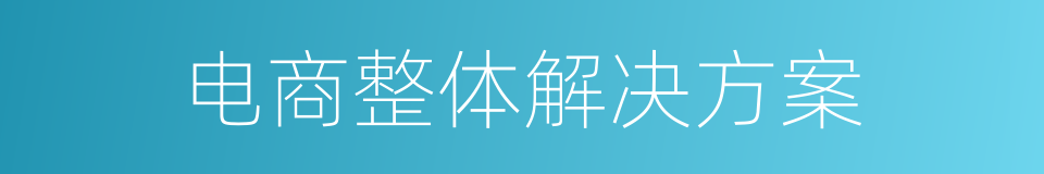 电商整体解决方案的同义词