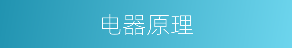 电器原理的同义词