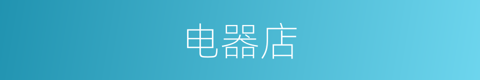 电器店的同义词