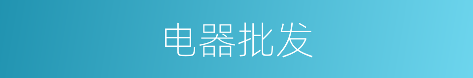 电器批发的同义词
