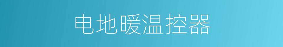 电地暖温控器的同义词