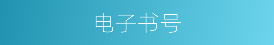 电子书号的同义词
