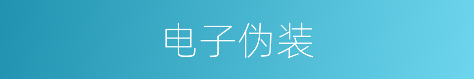 电子伪装的同义词