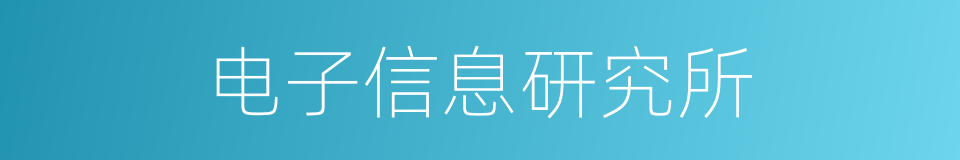 电子信息研究所的意思