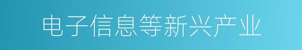 电子信息等新兴产业的同义词