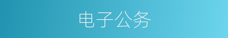 电子公务的同义词