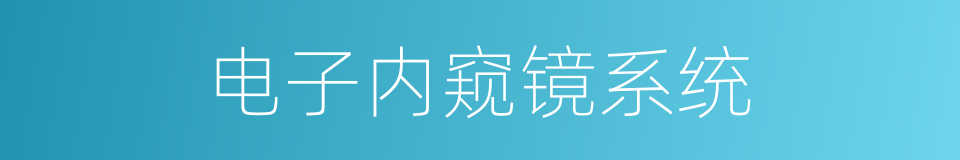 电子内窥镜系统的同义词