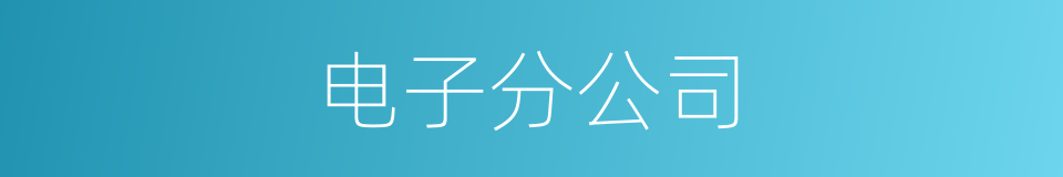 电子分公司的同义词