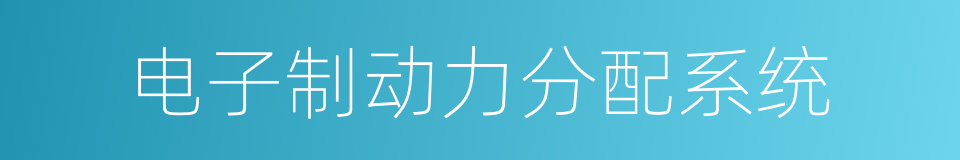 电子制动力分配系统的同义词