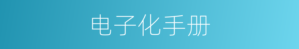 电子化手册的同义词