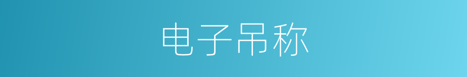 电子吊称的同义词