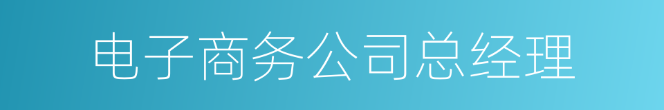 电子商务公司总经理的同义词